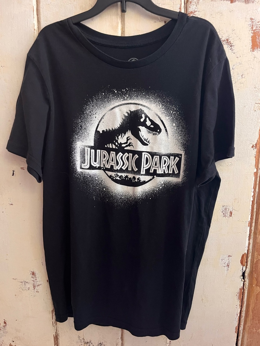 Jurassic Park Short Sleeve Graphic Tee - Black